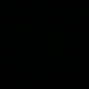 Meet your Posher, Lucy